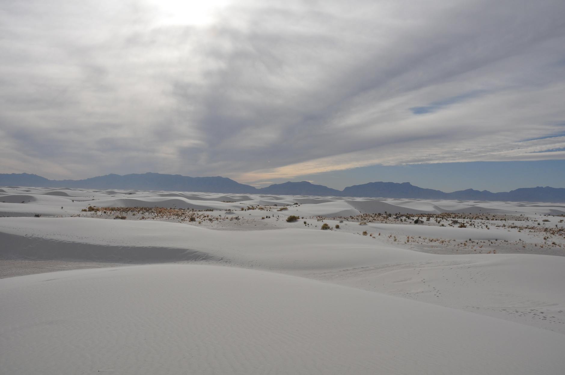 Traitements antiobésité : Novo Nordisk, sous pression aux Etats-Unis, contre-attaque sur les prix